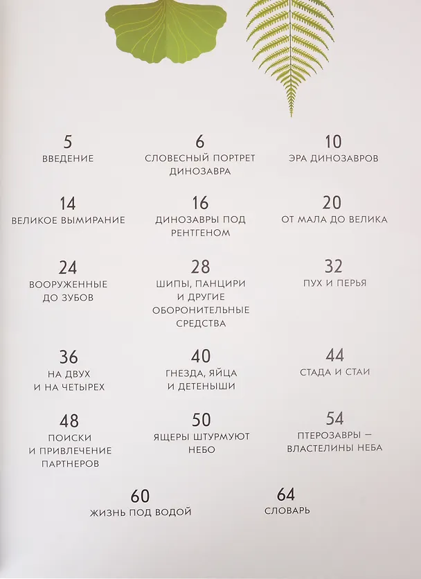 Книга Динозавры (Кристина Банфи) — 2