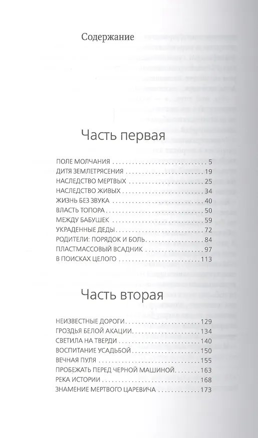 Книга Год кометы: Роман (Сергей Лебедев) — 2