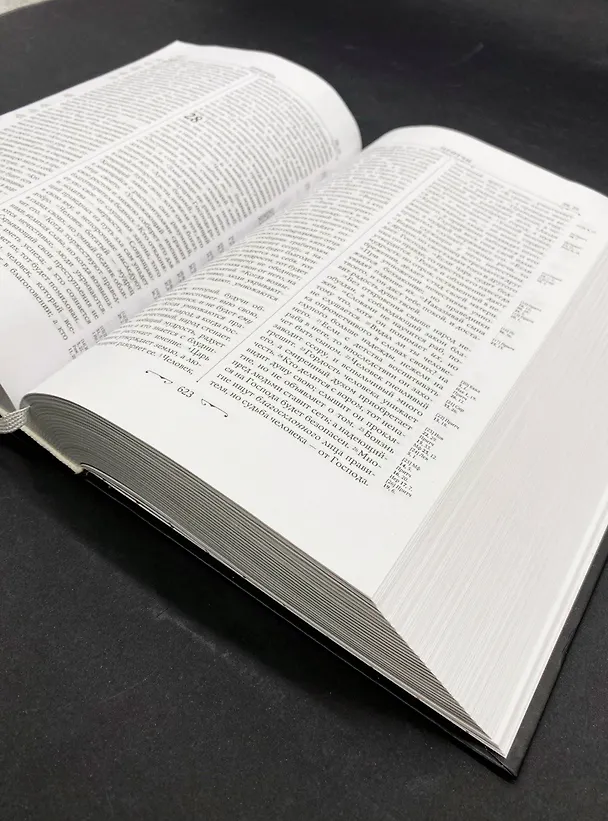 Книга Библия. Книги Священного Писания Ветхого и Нового Завета. РПЦ. Полное издание с неканоническими книгами. Черная () — 9
