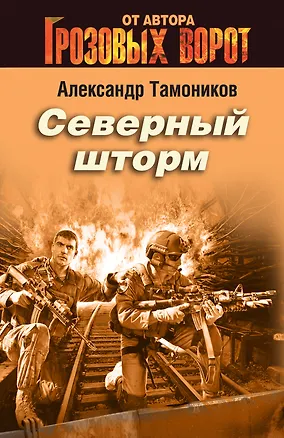 Книга Северный шторм (Александр Тамоников)