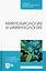 Микробиология и иммунология. Учебное пособие для СПО — 2952277 — 1