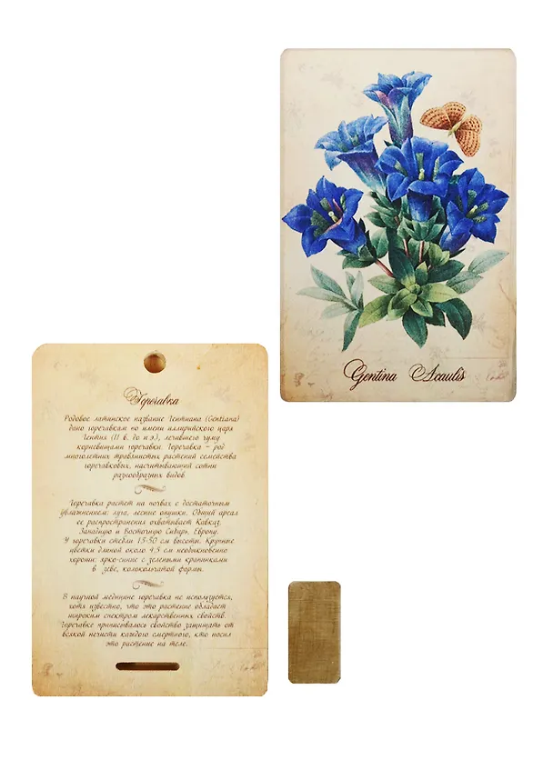 Плакетка Горечавка (1PB_005) 18х12) 2508319 — 1