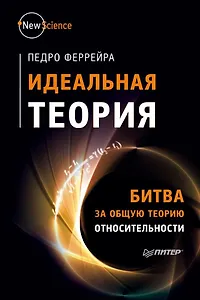 Идеальная теория. Битва за общую теорию относительности