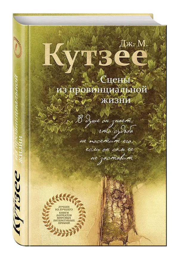 Книга Сцены из провинциальной жизни (Джон Кутзее) — 4
