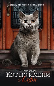 Кот по имени Алфи