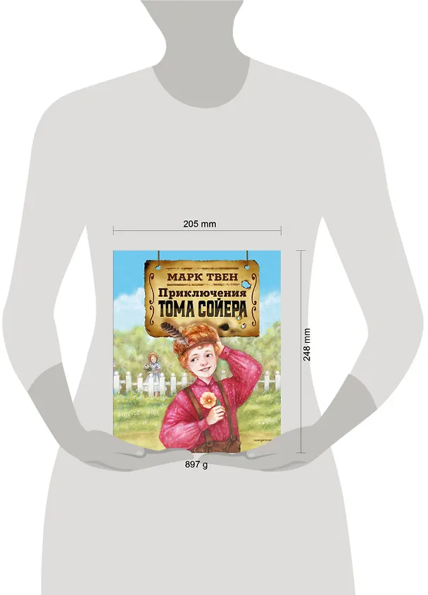 Книга Приключения Тома Сойера (Марк Твен) — 14
