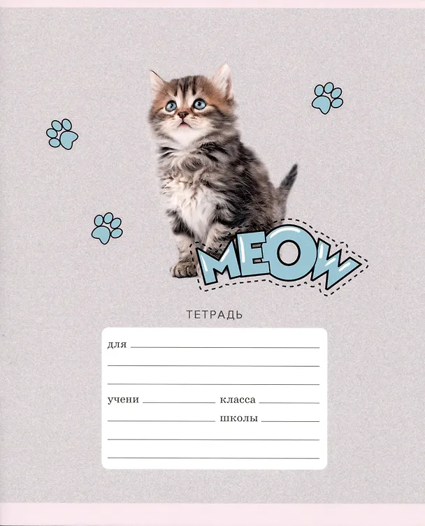 Тетрадь в линейку Listoff «Мяу!» 18 листов 2900811 — 3