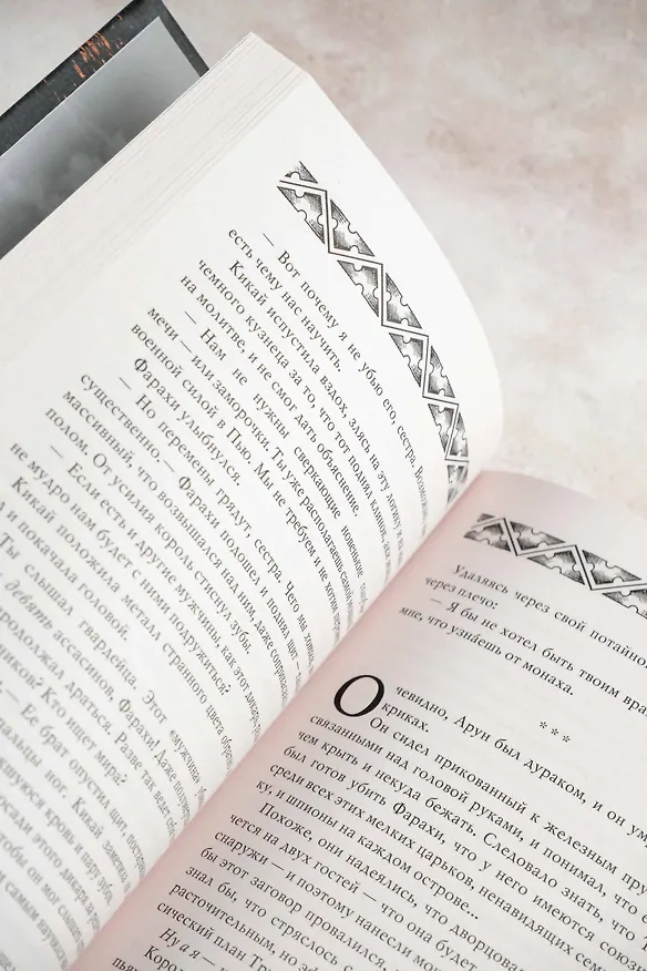 Книга Короли пепла (Ричард Нелл) — 13