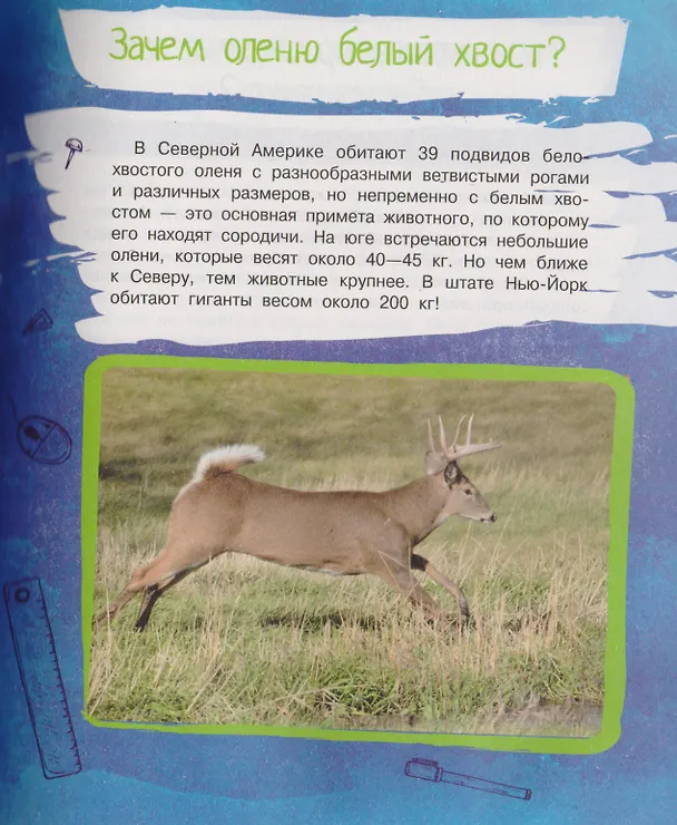 Книга Почему так, а не иначе. Военное дело, растения, космос, животные. (В. Волкова) — 2