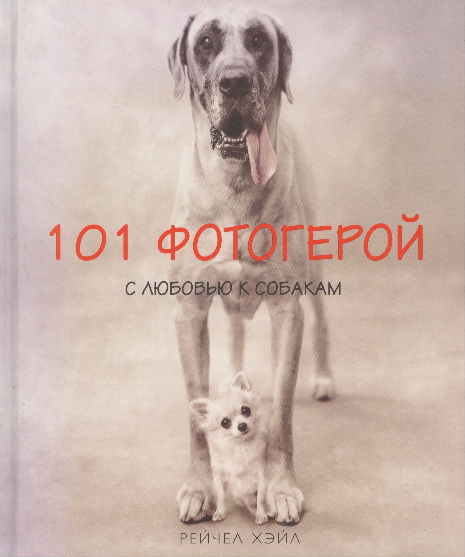 

101 фотогерой с любовью к собакам