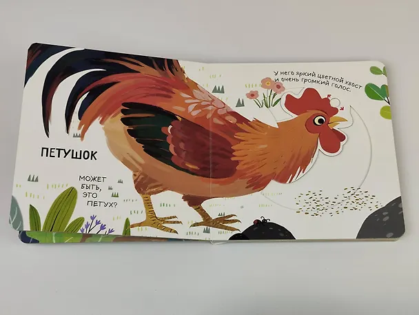 Книга Смотрим, играем, запоминаем! На ферме () — 10