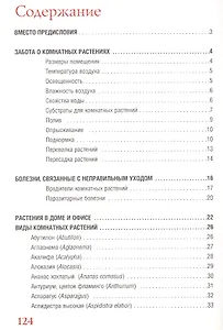 Комнатные растения.