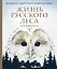 Жизнь русского леса. Большая подарочная энциклопедия (сова) — 2570051 — 1