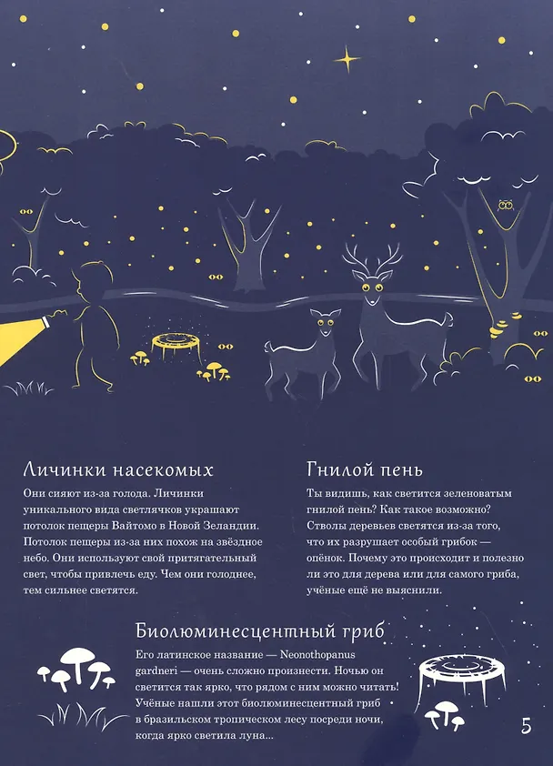 Книга Светится в темноте. Природа ночью (Петра Бартикова) — 3