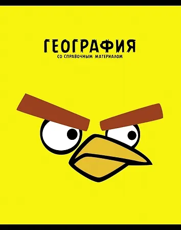 Тетрадь 48л кл. ТЕМА "ANGRY BIRDS" География выб.лак, справ.мат-лы, Hatber 229158 — 1