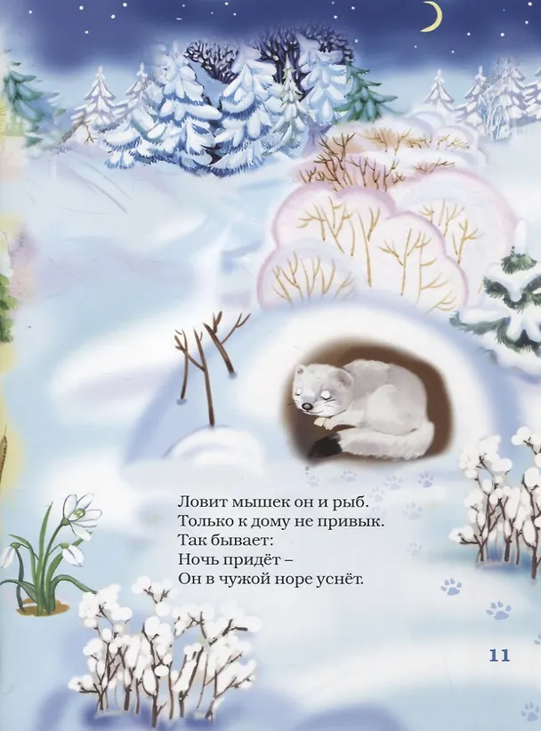 Книга Лесные  жители (6+) (Александр Маковский) — 6