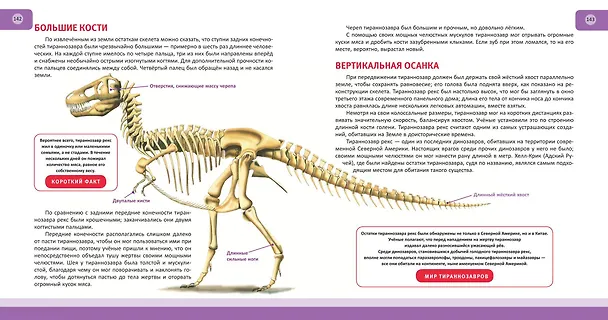 Книга Динозавры. Полная энциклопедия (Тамара Грин) — 13