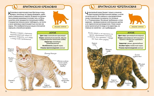 Книга Кошки (Камилла де ла Бедуайер) — 3