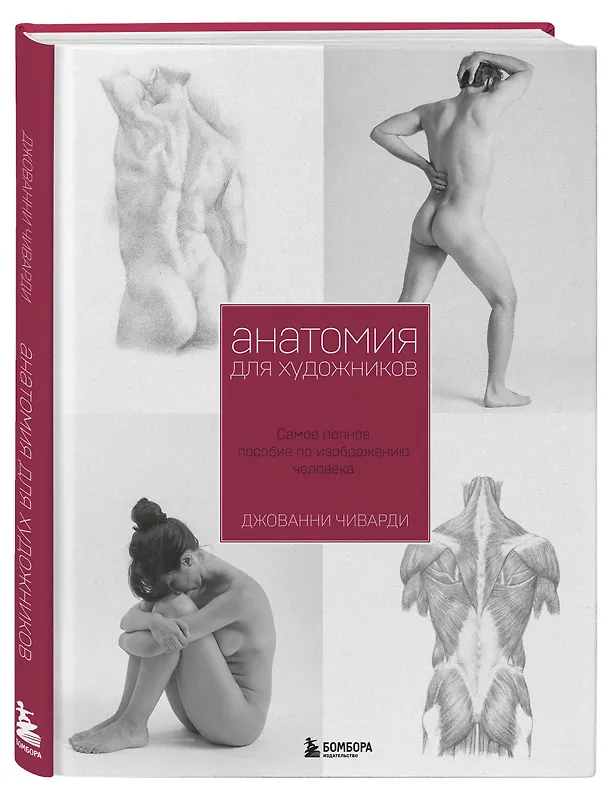 Книга Анатомия для художника. Самое полное пособие по изображению человека (Джованни Чиварди) — 4