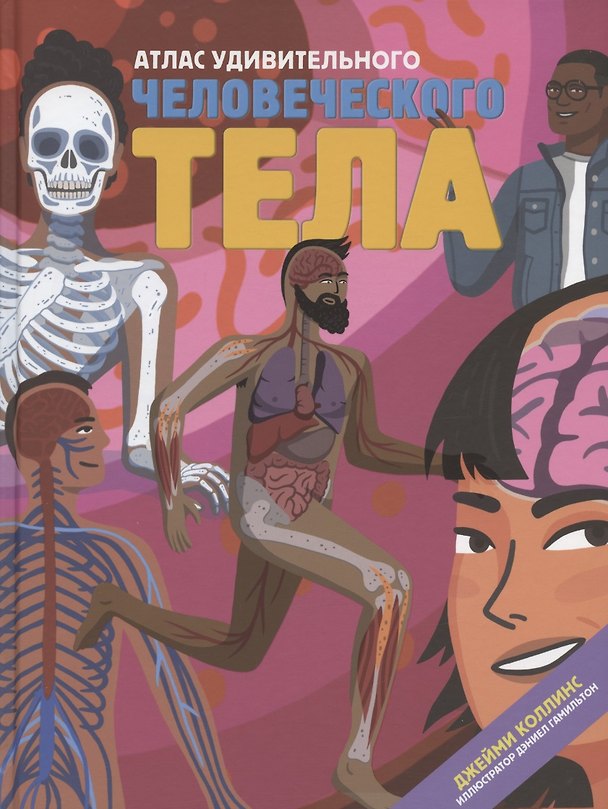 Книга Атлас удивительного человеческого тела (Джейми Коллинс) — 1