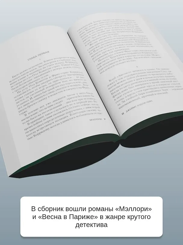 Книга Весна в Париже (Джеймс Хедли Чейз) — 7