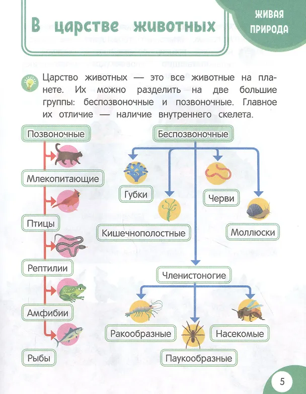 Книга Моя первая книга открытий: для детей от 5 лет (Н. Баранова) — 4