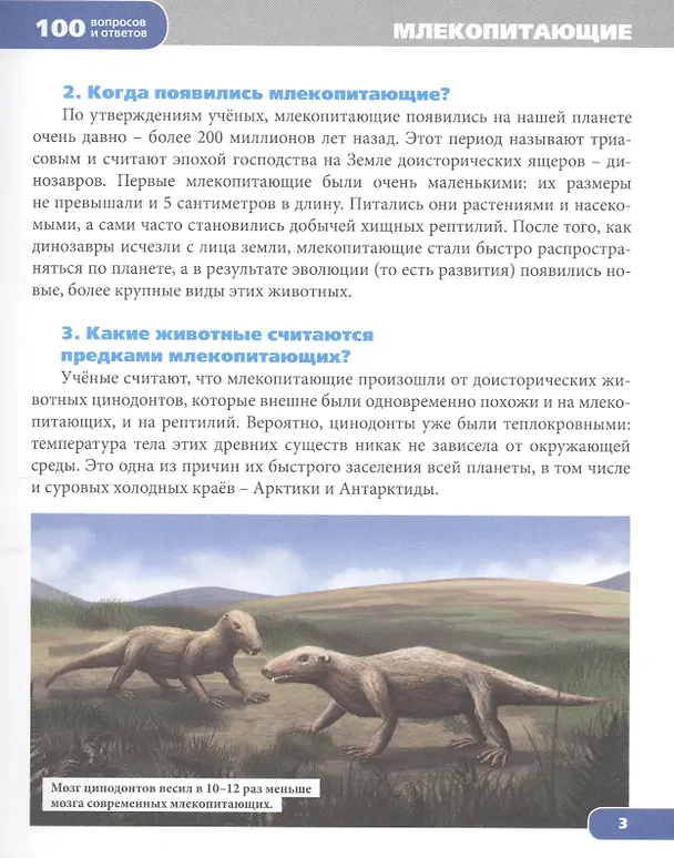 Книга Животный мир () — 2