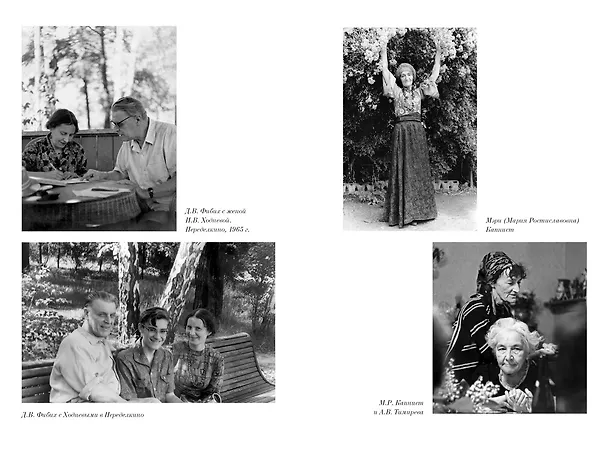 Книга Двужильная Россия. Дневники и воспоминания (Даниил Фибих) — 7