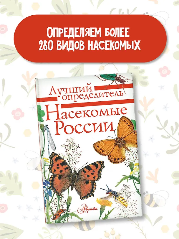 Книга Насекомые России (Владимир Полевод, Илья Гомыранов) — 4