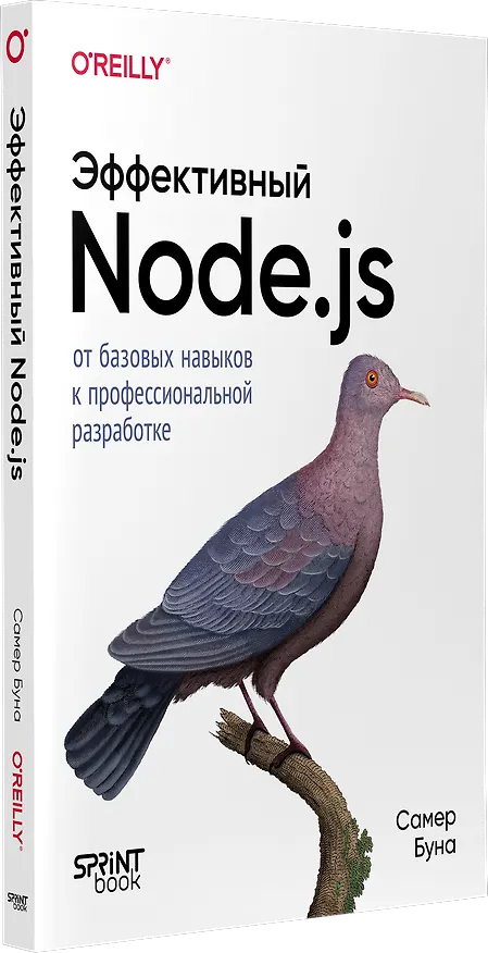 Книга Эффективный Node.js: От базовых навыков к профессиональной разработке (Самер Буна) — 3