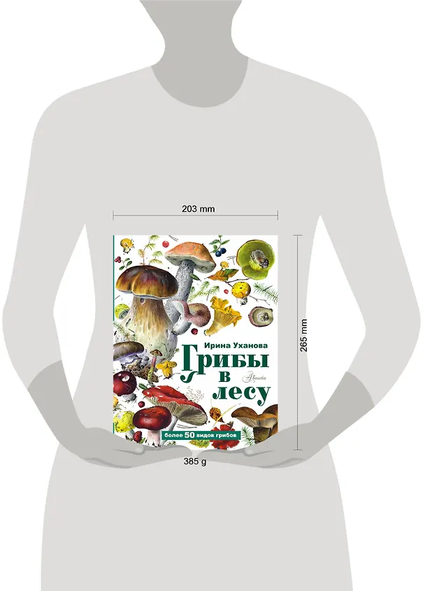 Книга Грибы в лесу (Ирина Уханова) — 9