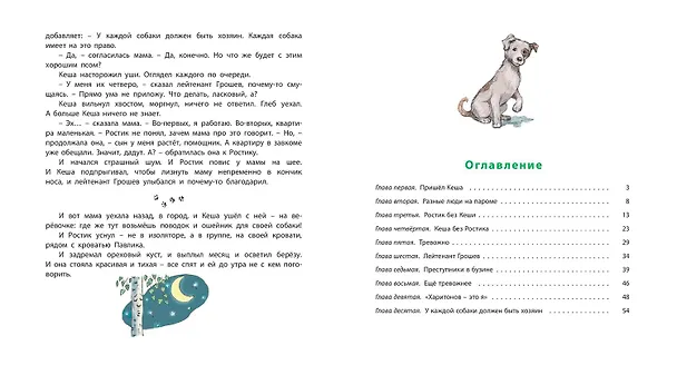 Книга Ростик и Кеша (Ирина Токмакова) — 8
