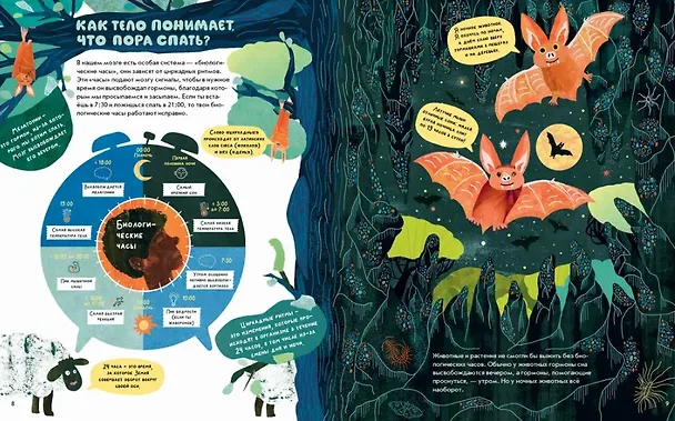 Книга Почему мы спим? (Кэти Эванс) — 5