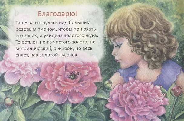 Книга Благодарю (Станислав Брейэр) — 2