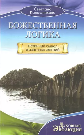 Божественная Логика. Истинный смысл жизненных явлеений — 2303734 — 1