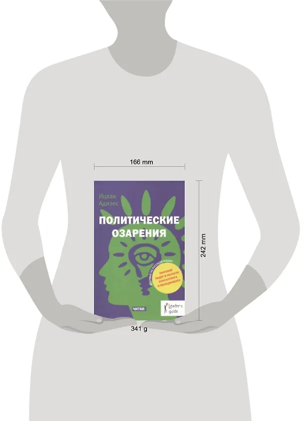 Книга Политические озарения (Ицхак Калдерон Адизес) — 2