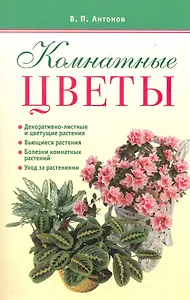 Комнатные цветы