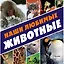 Наши любимые животные — 2542284 — 1