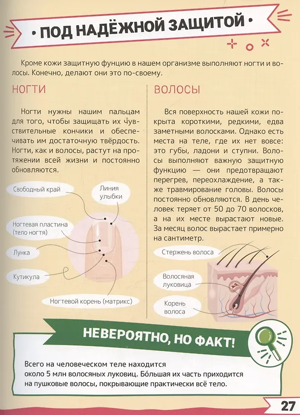 Книга Большая энциклопедия дошкольника с дополненной реальностью (Ирина Барановская, Людмила Доманская, Акира Итикава, Светлана Пирожник) — 10