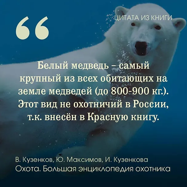 Книга Охота. Большая энциклопедия. 17 диких зверей (Юрий Максимов, Ираида Кузенкова, Валерий Кузенков) — 8