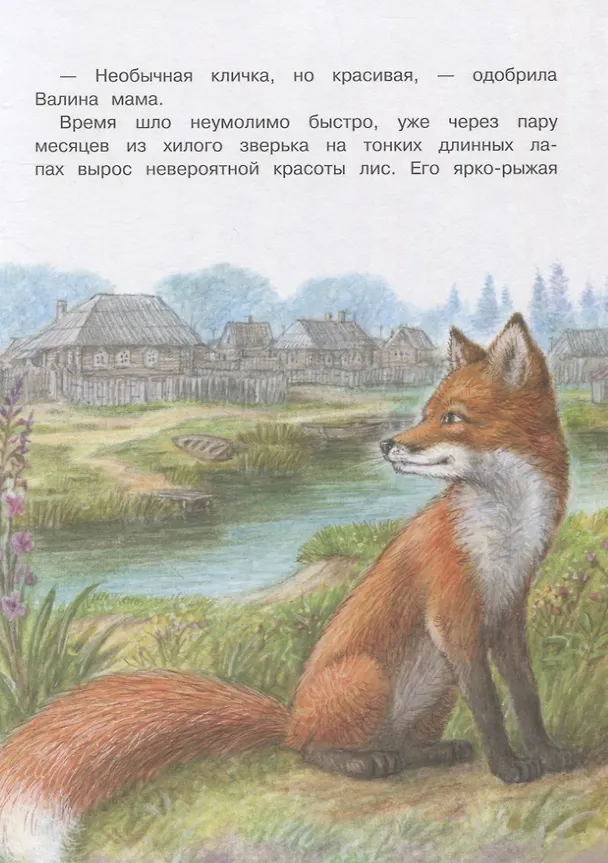 Книга Приключения Уйки (Елена Лопатина-Кибис) — 5