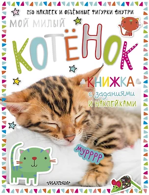 Мой милый котёнок. Книжка с заданиями и наклейками — 2628228 — 1