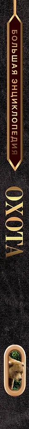 Книга Большая энциклопедия. Охота (Игорь Гусев) — 3