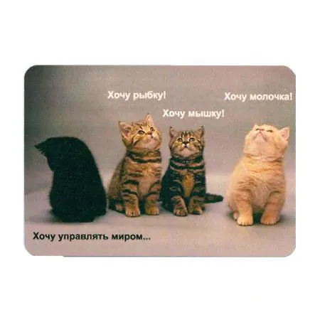 Сувенир МАГНИТИК Магнит 9,5*6,5см "Афоризмы":"Хочу править миром..." 2361579 — 1