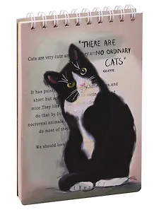 Скетчбук А5  "Cats", 100 листов