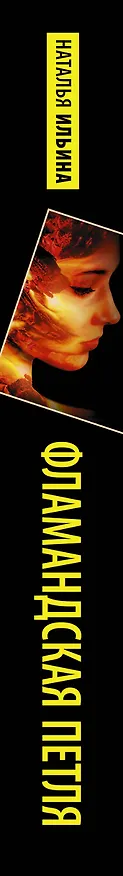 Книга Фламандская петля (Наталья Ильина) — 3