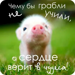 Сувенир МАГНИТИК Магнит 6,5*6,5см "Приколы": "Чему бы грабли не учили..." 2361630