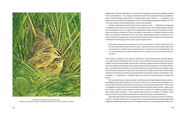 Книга Иллюстрированная история орнитологии (Тим Беркхед) — 3