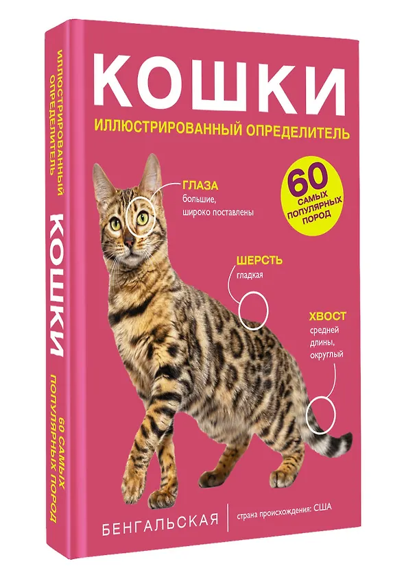 Книга Кошки. 60 самых популярных пород. Иллюстрированный определитель (Дмитрий Смирнов, Анна Спектор) — 4