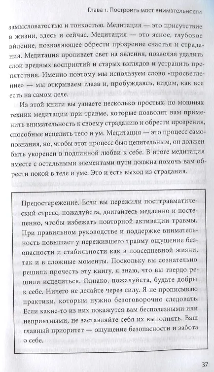 Книга Цветы в темноте. Практики, которые помогут исцелиться от травмы и найти опору в себе (Данг Нгием) — 5
